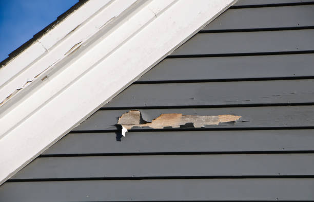 Affordable Siding Repair and Maintenance Services in Rainbow Park, FL